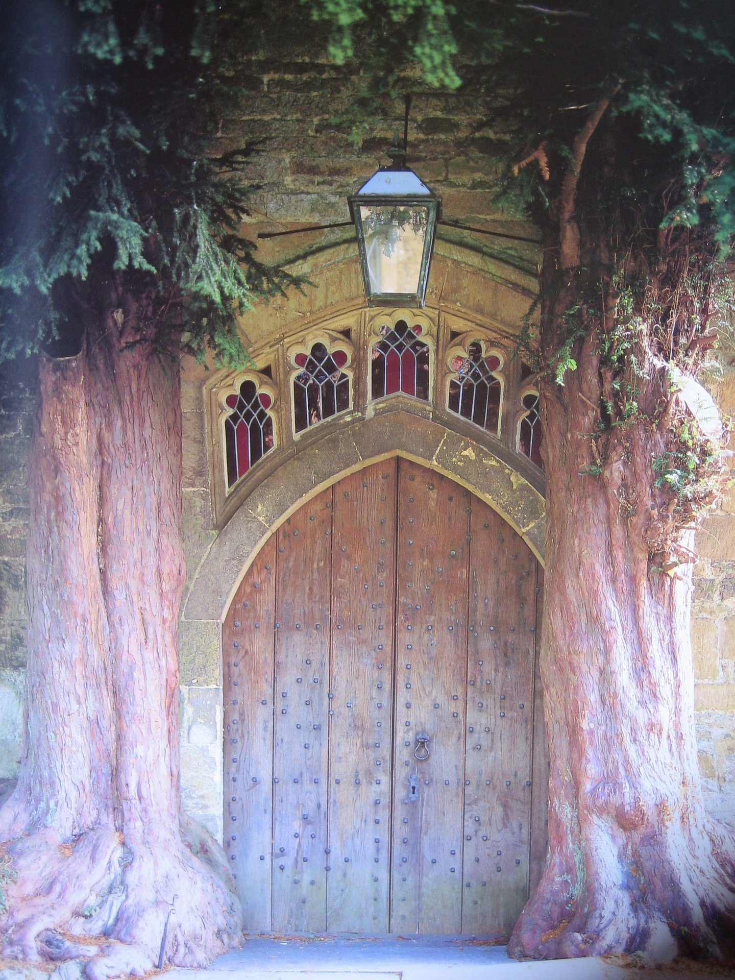 An arched stone church doorway flanked by two ancient yew trees